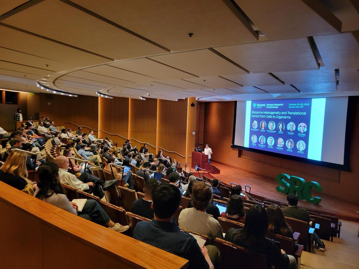 ScienceStowers's tweet photo. 🔬 Happening this week at the Institute!

We're welcoming scientists to #KansasCity for the #SRCKC26 on Ribosome Heterogeneity and Translational Control!

Three days of scientific exchange, new ideas, and opportunities for collaboration. 🧬 https://t.co/M8lnOpOLRj