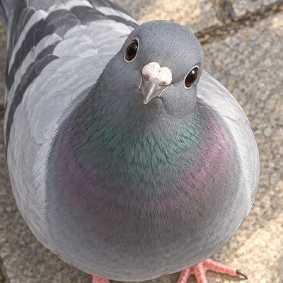 mio__000__'s tweet photo. #新しいプロフィール画像 https://t.co/hXXet1G8me