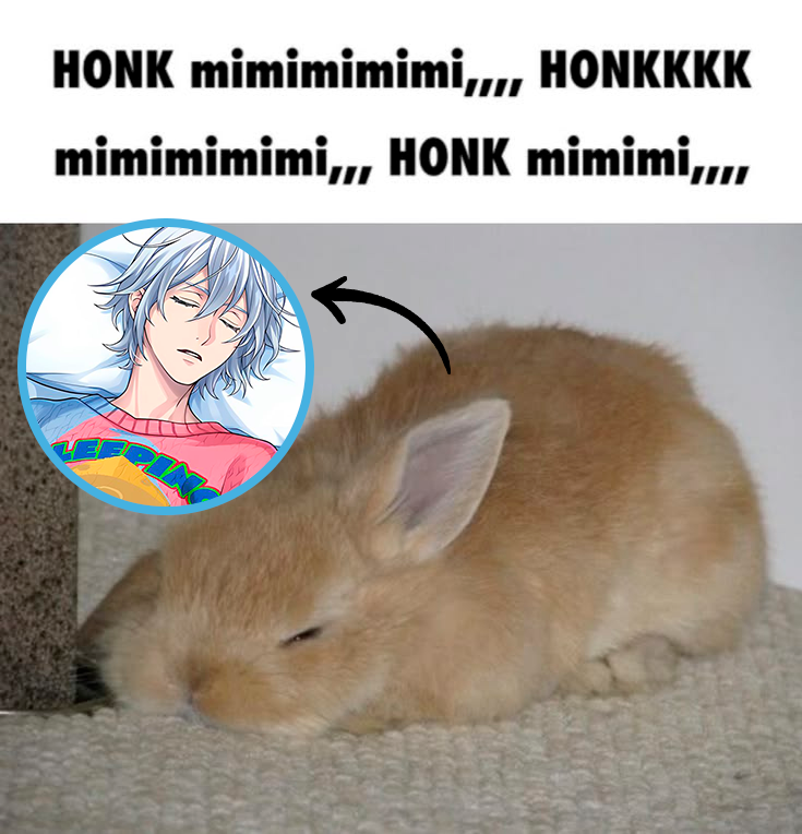 peek4blue's tweet photo. PROOFS THAT SILVER IS A BUNNY: https://t.co/xWT0wQE3bW