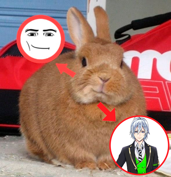 peek4blue's tweet photo. PROOFS THAT SILVER IS A BUNNY: https://t.co/xWT0wQE3bW