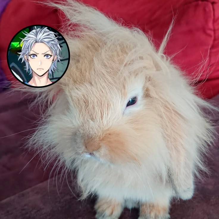 peek4blue's tweet photo. PROOFS THAT SILVER IS A BUNNY: https://t.co/xWT0wQE3bW