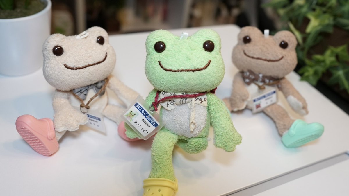 usiorobo's tweet photo. @PicklesClock ぴったりでしょ🐸💚 https://t.co/WqB2hbWKnt