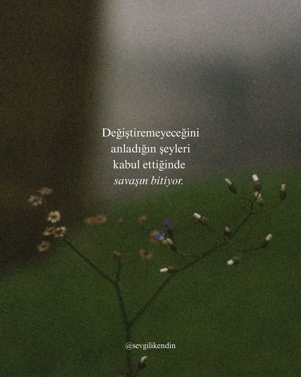sevgilikendin's tweet photo. https://t.co/cLg4KaUaLo