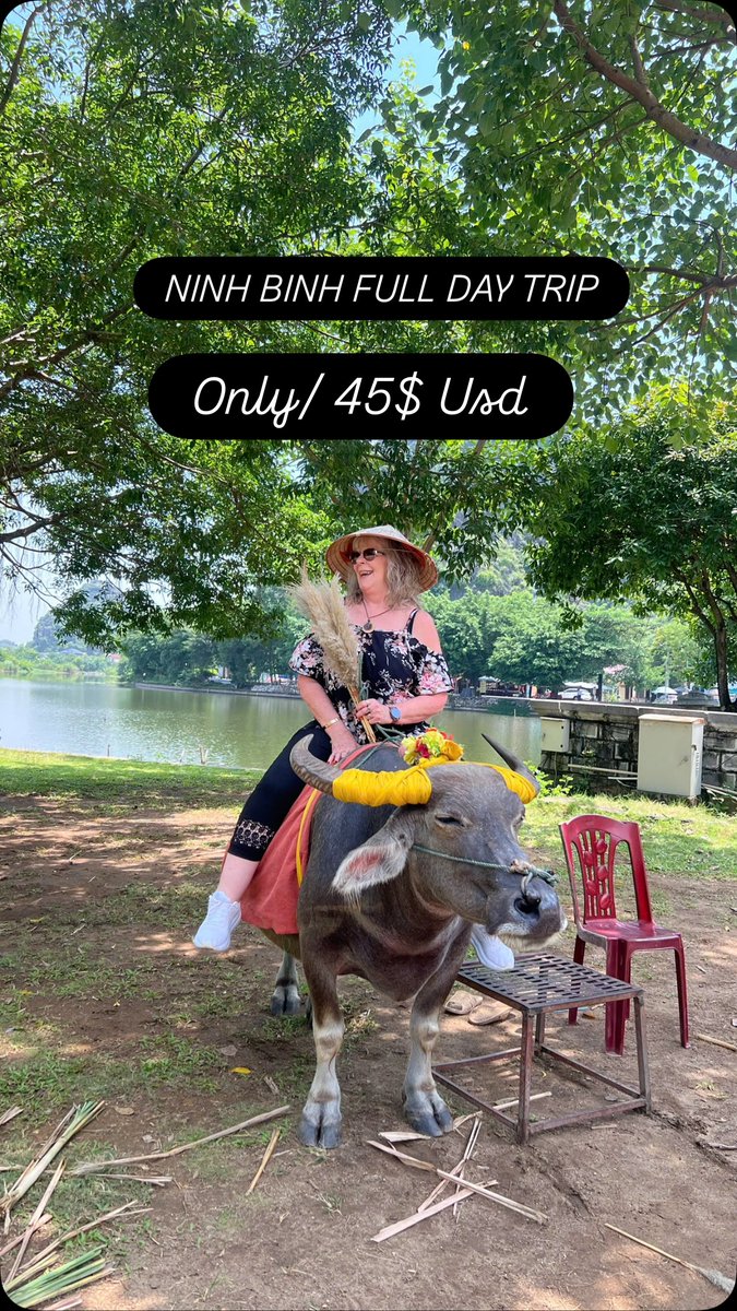 l_tion's tweet photo. Ninh Binh Full-Day Trip from Hanoi: $45/person. Explore Hoa Lu, take a Trang An boat trip, visit Mua Cave, cycle through local villages, and enjoy lunch. All-inclusive, easy booking, wonderful experiences. https://t.co/cXSj4EeOju