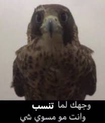000oooo78's tweet photo. حسبي الله على المنشن اللي يدعون ترا كذب 😭😭😭😭😭😭 https://t.co/HsqzknWDSJ