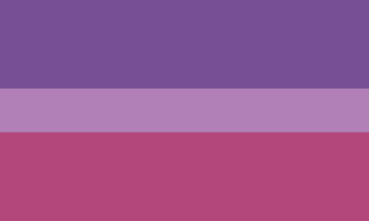 desolatist's tweet photo. made some flag variants that follow the bisexual flag template &amp; i think they’re pretty cute ♡ https://t.co/2lkvavYHp8
