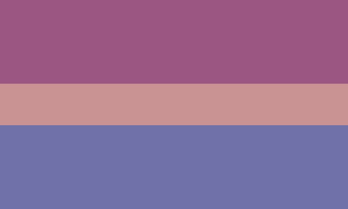desolatist's tweet photo. made some flag variants that follow the bisexual flag template &amp; i think they’re pretty cute ♡ https://t.co/2lkvavYHp8