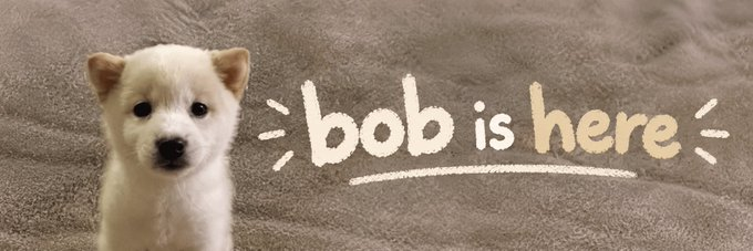 pumping_fun's tweet photo. Market is dry

25 different pair vamps for every coin 

Stock market is dumping
PHP hack

Railway hacked

Agents inside of customer bank accounts
USA planning on striking iran again

In times of despair, bob arrives.

Bob doesn't care about market conditions, hacks, agents, fee's, stocks.

Bob just want's to go up.

Bob