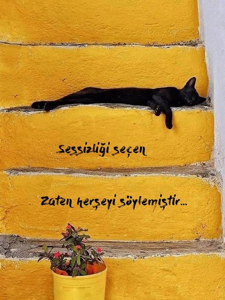 sevgilikendin's tweet photo. https://t.co/kNa0aofvyU