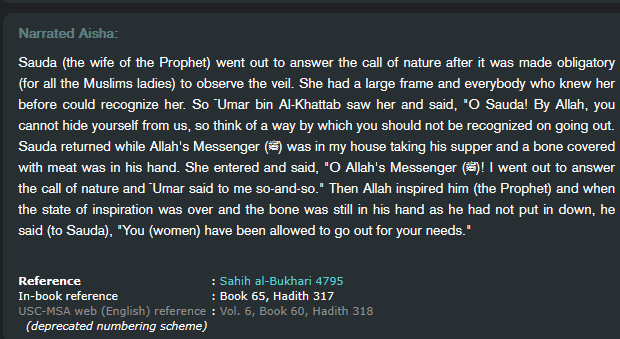 MlemerPep's tweet photo. @HalalNation_ No. 

It's a symbol telling perverts that they need to let women go take a shit in peace. https://t.co/ksKOrPchoX