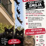 Photo by María Viñuela del Jeso (@CefiroyCoco)