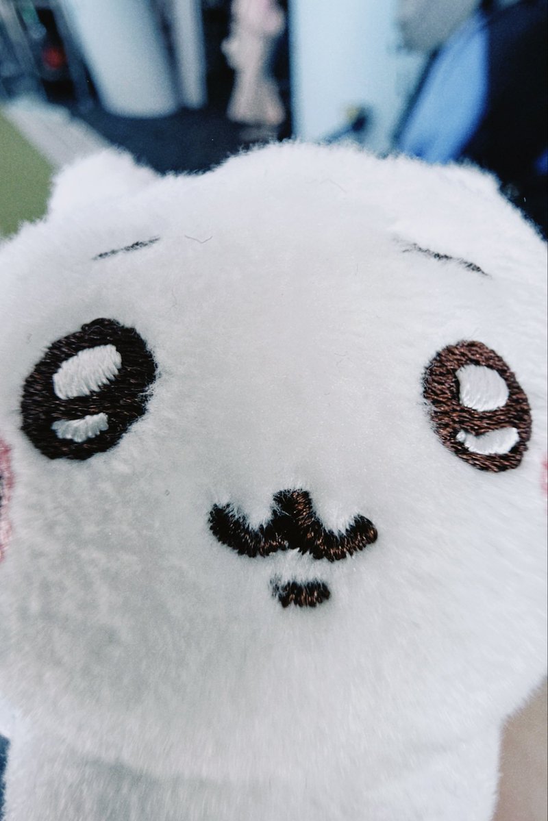 ado1024imokenp's tweet photo. ちいちゃん https://t.co/49R2syBcI9