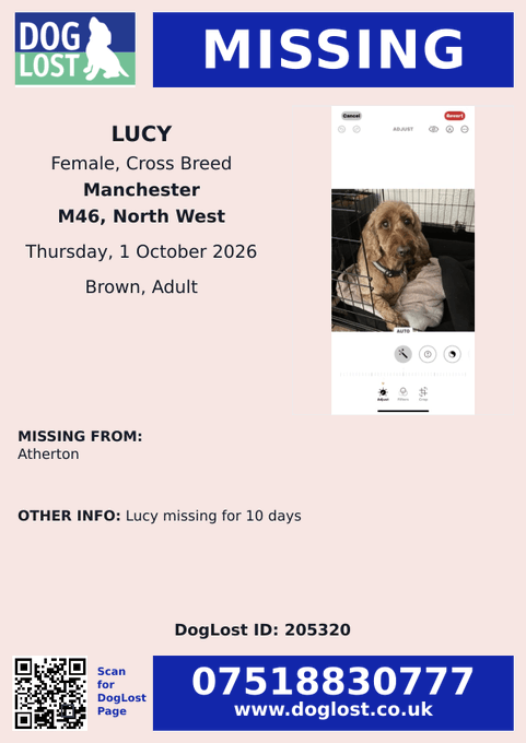 millypod1's tweet photo. 🆘1 OCT 2026 #STILLMISSING #Lost Lucy #ScanMe #STOLEN?? 
Cross Breed Female (NERVOUS Recently Rehomed) #Atherton area #M46 #Manchester #GreaterManchester Last Seen: Bee Fold Lane. https://t.co/j8Wyp22Czd https://t.co/WelkHAYkcD
