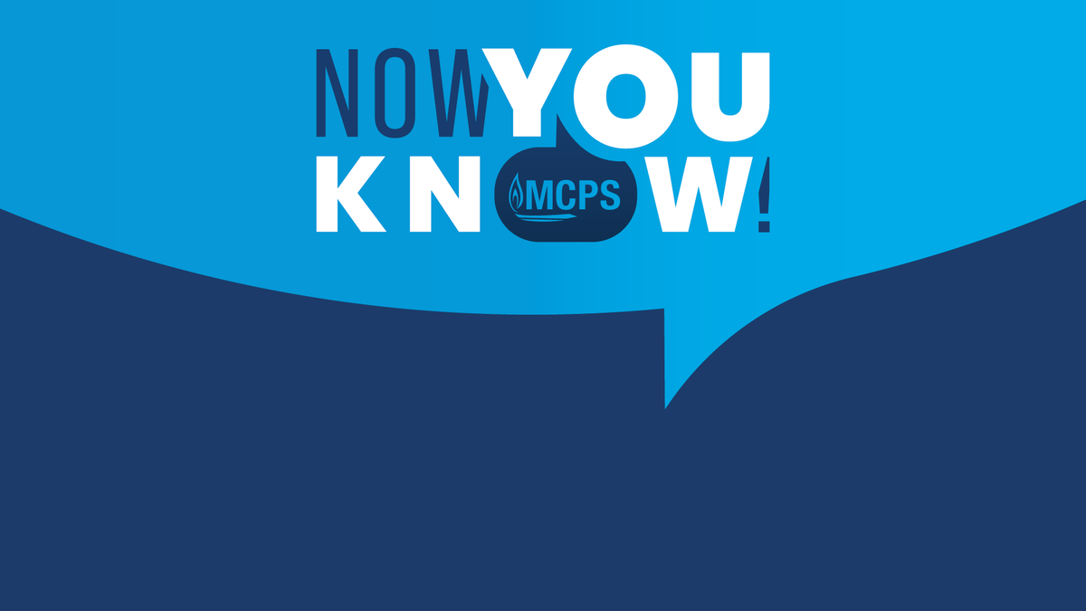MCPS's tweet photo. Starting this fall, programs will be combined, updated or phased out to align with the Maryland State Department of Education's (MSDE) new 14-career-cluster model. Students already enrolled can complete their existing programs. https://t.co/IuBF0DxikY https://t.co/DsuDzeTsdG