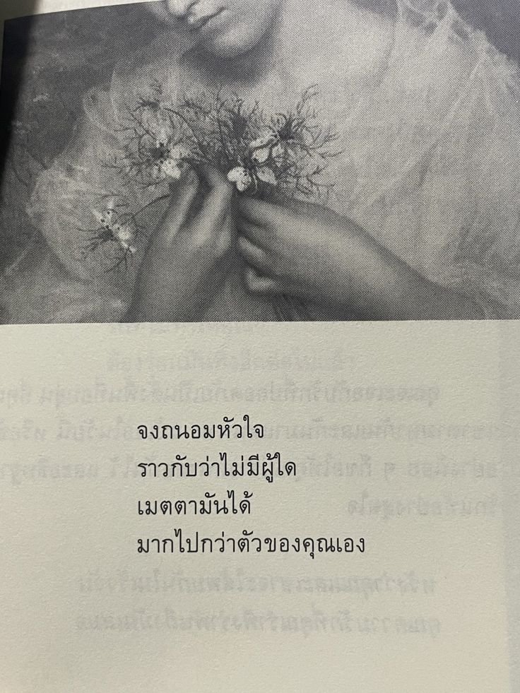 pleng_TJ tweet picture