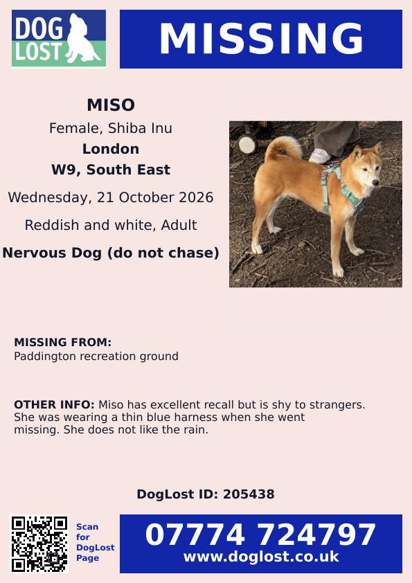 millypod1's tweet photo. 🆘21 OCT 2026 #Lost Miso #ScanMe
Shiba Inu Female. Nervous Dog (do not chase).
Paddington Recreation Ground #W9
County #London #GreaterLondon
https://t.co/Tdx6VCoBn0 https://t.co/UuJlJAAzBq