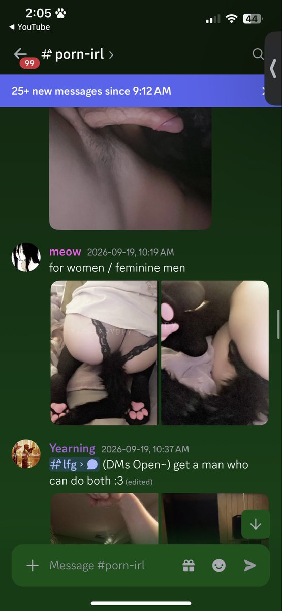 1ttydumbmutt's tweet photo. just had someone try to catfish as me on the healsluts discord el oh el, if u see someone w my old user @v1rusxpvppy please go report them https://t.co/N3ZsuydOWa
