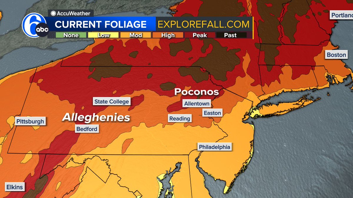 Brittany_Boyer's tweet photo. PEAK COLOR MOVING SOUTH
We now have peak to high color in the Poconos and Lehigh Valley.  With sunny days and cool nights colors have started to really progress.  It will be a great weekend for a road trip to one of the state parks in these areas. https://t.co/arrELIhVYL