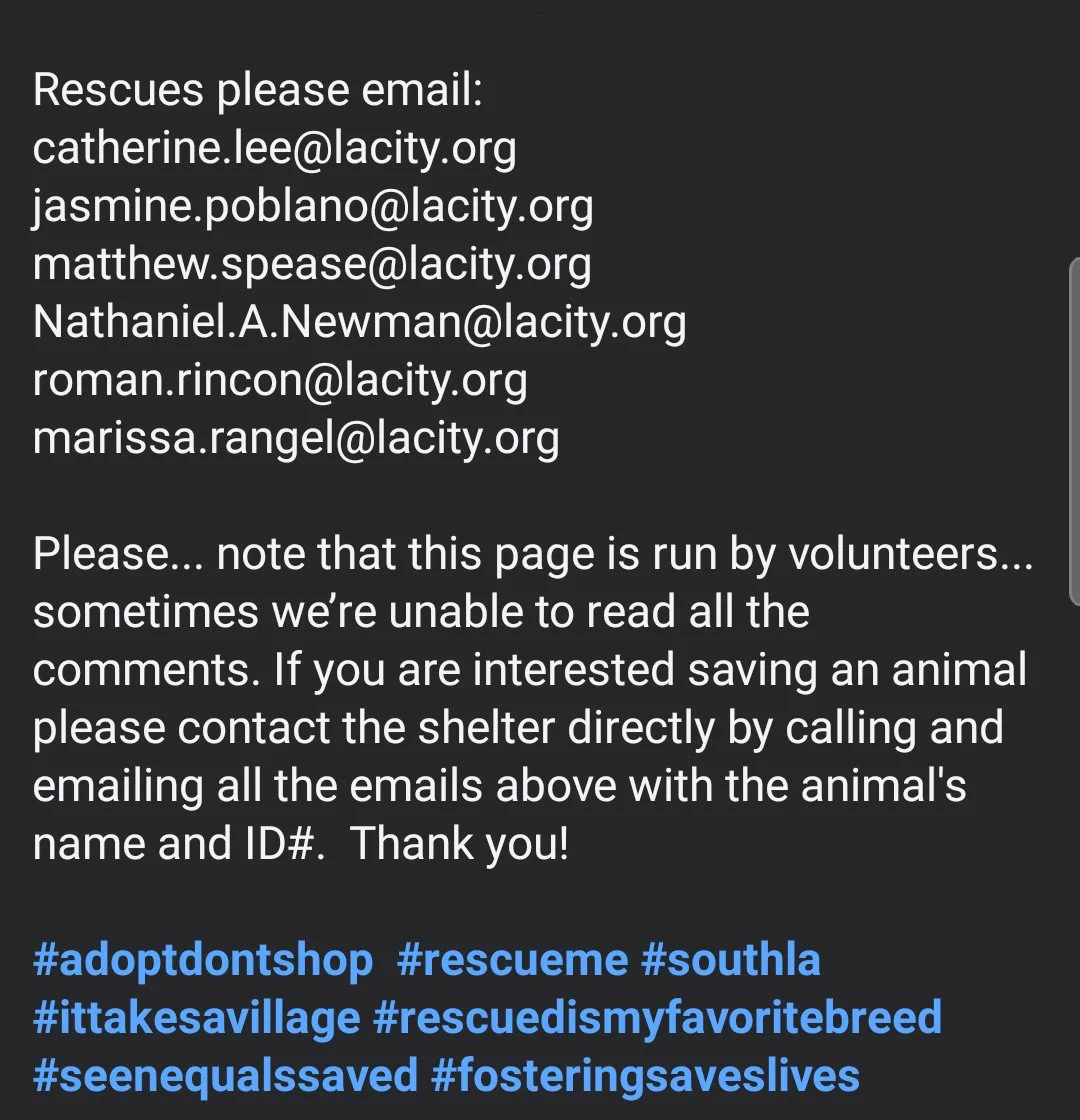 itsadogslife on X: 