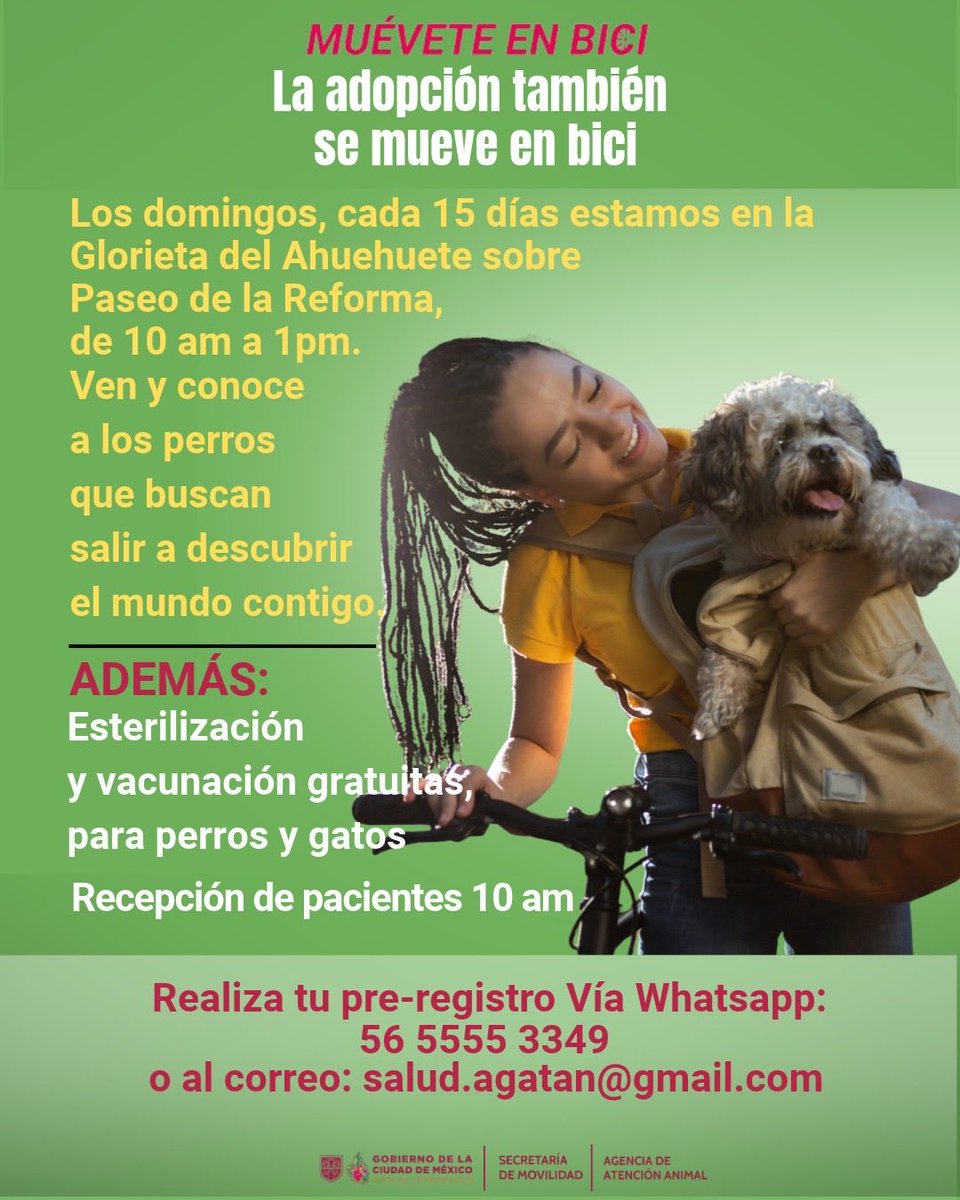 AgatanCdmx's tweet photo. Nuestras próximas Jornada de esterilización y bienestar animal: 🐾🐾🐾🐾🐾🐾🐱  @GobCDMX @ClaraBrugadaM https://t.co/FvDdXk8WY3