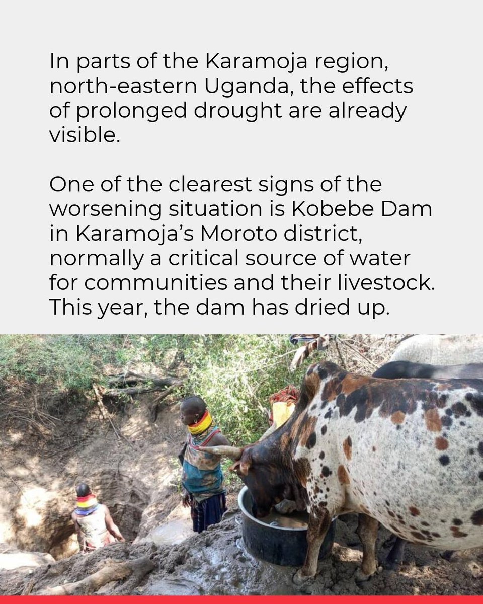 ifrc's tweet photo. Resilience starts long before disaster strikes. Across Africa, communities are facing the impacts of El Niño, from droughts to floods. Early action, led by Red Cross and Red Crescent volunteers, is helping turn forecasts into action before crises deepen.

Read more: https://t.co/RyRxhzdhEt