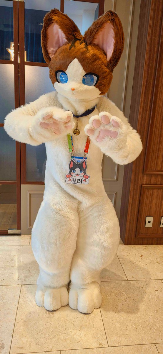 Digicam_bori's tweet photo. #Fursuit
#Fursuitfriday
#Fursuitsfriday 
#Fursuitfryday
#着ぐるみ
#보리보리쌀
#Furraid
#Furraid2026
#퍼레이드2026
🐾🐱🐾 https://t.co/jU1XnLtr8x