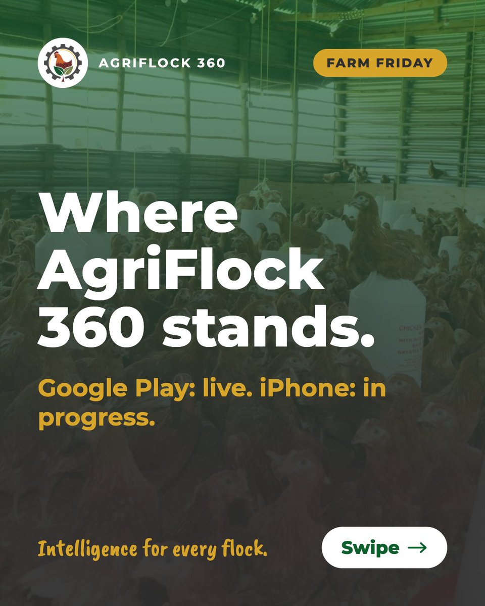 agriflock360's tweet photo. Google Play: live ✅ 100+ downloads. iPhone: in progress, no date yet.
Farmers keep asking for simple records, timely reminders and clear reports. We're building with them.
Android or iPhone? 👇
https://t.co/LxJk5PYXz8
#AgriFlock360 #PoultryFarming https://t.co/WmR7iSW30Z