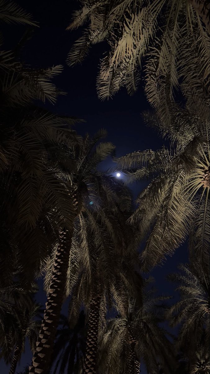 rozlolk6's tweet photo. سبحان الله وبحمده سبحان الله العظيم 🌖 https://t.co/GZXk0VP2sH