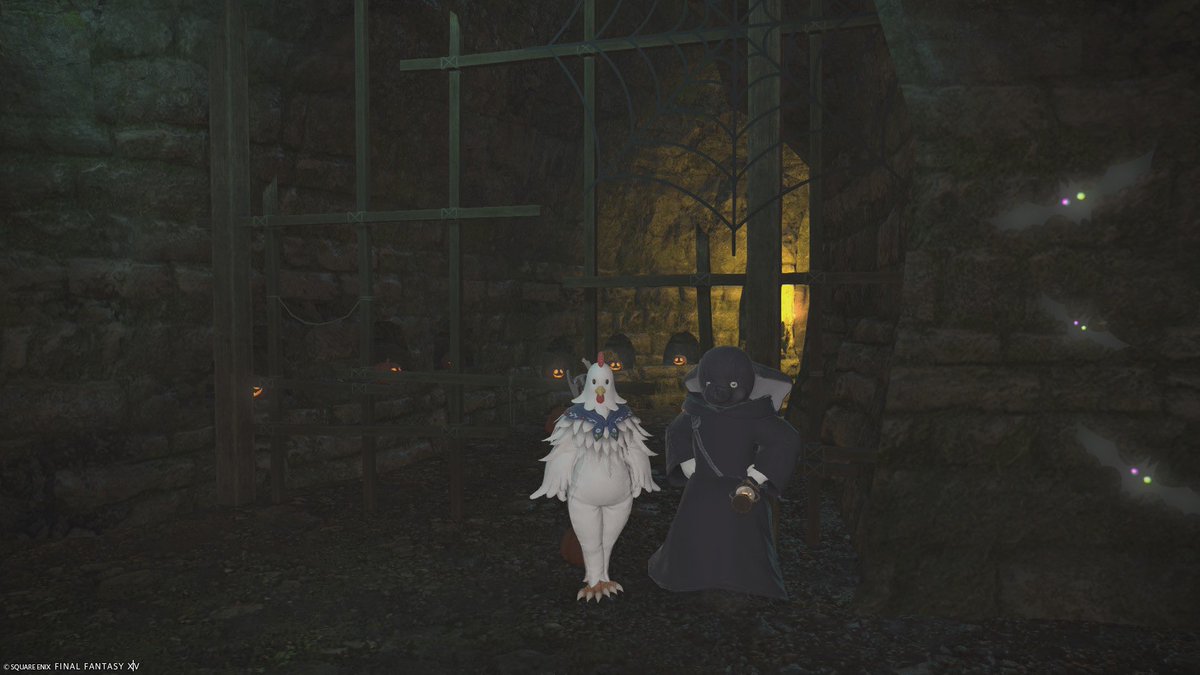 nh260804's tweet photo. ハロウィン https://t.co/HgLpnbnBrN