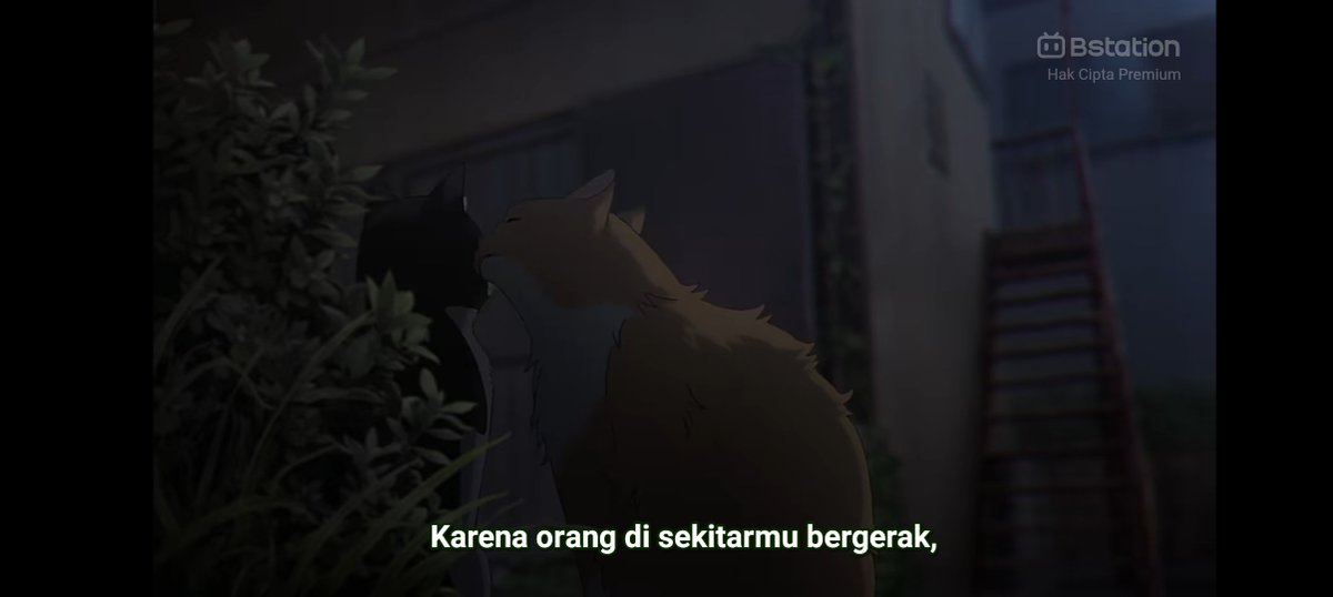 abCdeGGiu's tweet photo. Habis rewatch wind breaker terus lihat meng oyen jilat meng tuxedo (ya keliatan gitu sih) dan jelas ini adalah SAKUNIREI https://t.co/vQu5dJvU30