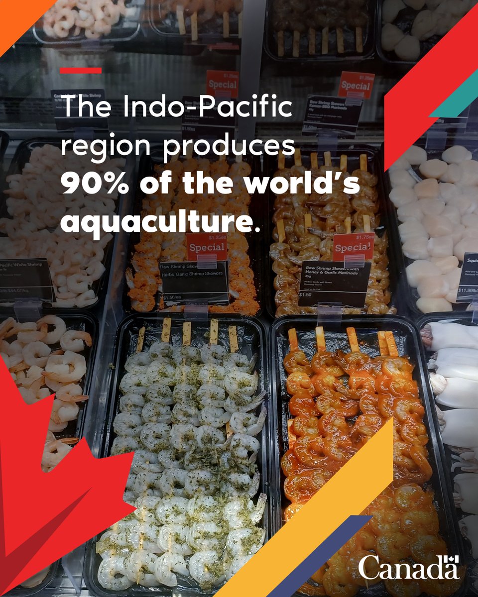 CanadaDev's tweet photo. To protect food systems from climate change, Canada and @IDRC_CRDI help small fish farmers use nature-based solutions. This grows local businesses, protects coastlines and keeps sustainable seafood available, including right here, at home. 

🔗Learn more: https://t.co/uzXycGBQzF https://t.co/1xVHblbFTg