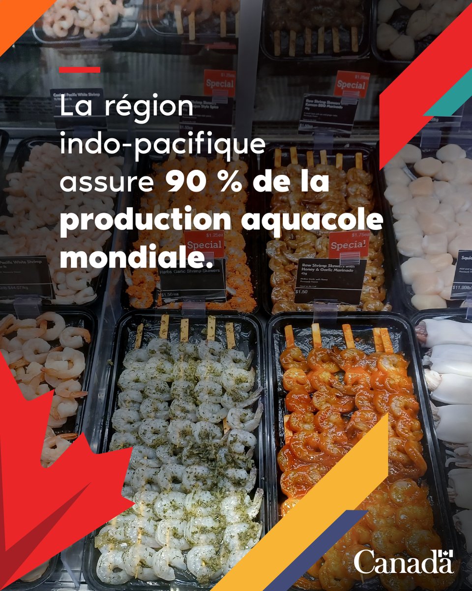 DevCanada's tweet photo. Pour protéger les systèmes alimentaires face au climat, le Canada &amp; @IDRC_CRDI aident les petits pisciculteurs avec des solutions naturelles. Cela soutient l’économie locale, protège les côtes et maintient l'accès aux produits de la mer, ici comme ailleurs https://t.co/0NmLMjgnCt https://t.co/qlkQg5iqYq