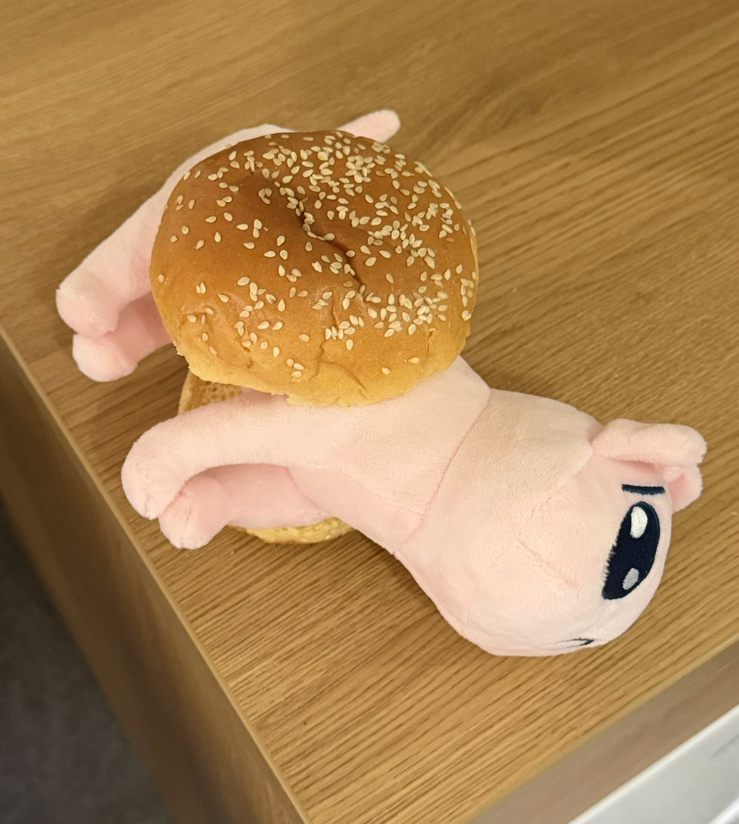Kawaiiangel's tweet photo. Me: WHAT ARE YOU 
Pien: mreoww an idiot burger https://t.co/anDYw0xPbl
