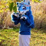 Photo by 🌸RoyalWusky🌸 (@GamingFuzzball)