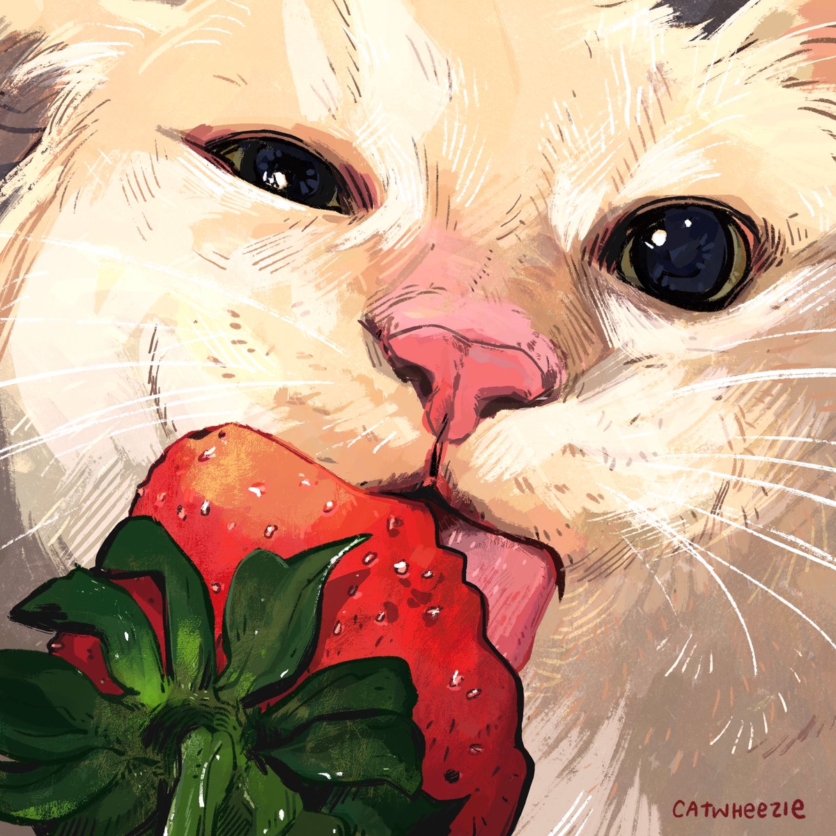 catwheezie's tweet photo. ... Hi https://t.co/LHuC5U5AVZ