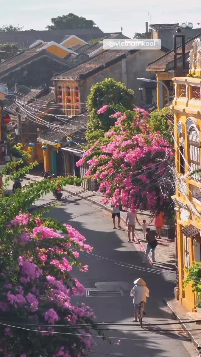 cocoman86's tweet photo. Vietnam is a peaceful, welcoming country with rich culture and breathtaking beauty. https://t.co/Nwg1tbQ3EB