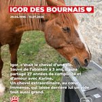 Photo by SOS Maltraitance Animale (@SOS3677)