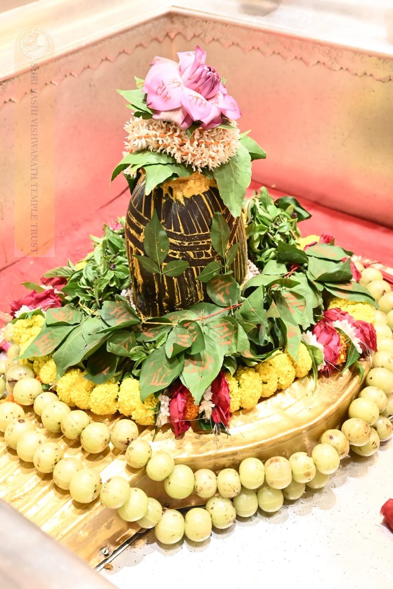 ShriVishwanath's tweet photo. श्री काशी विश्वनाथ जी की श्रृंगार आरती I https://t.co/2NblSPHYkE