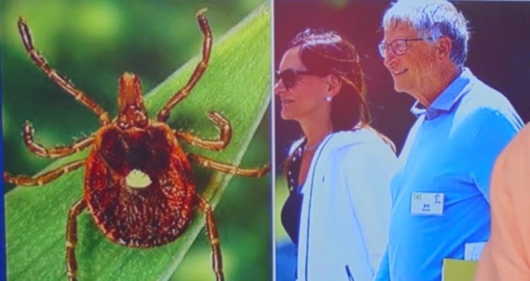 teoriadacons's tweet photo. O responsável por modificar geneticamente uma espécie de carrapatos pra tornar a população alérgica a carne, tem um fábrica de carne sintética.

BILL GATES e a SÍNDROME DE LYME. https://t.co/qhayJC5LJn