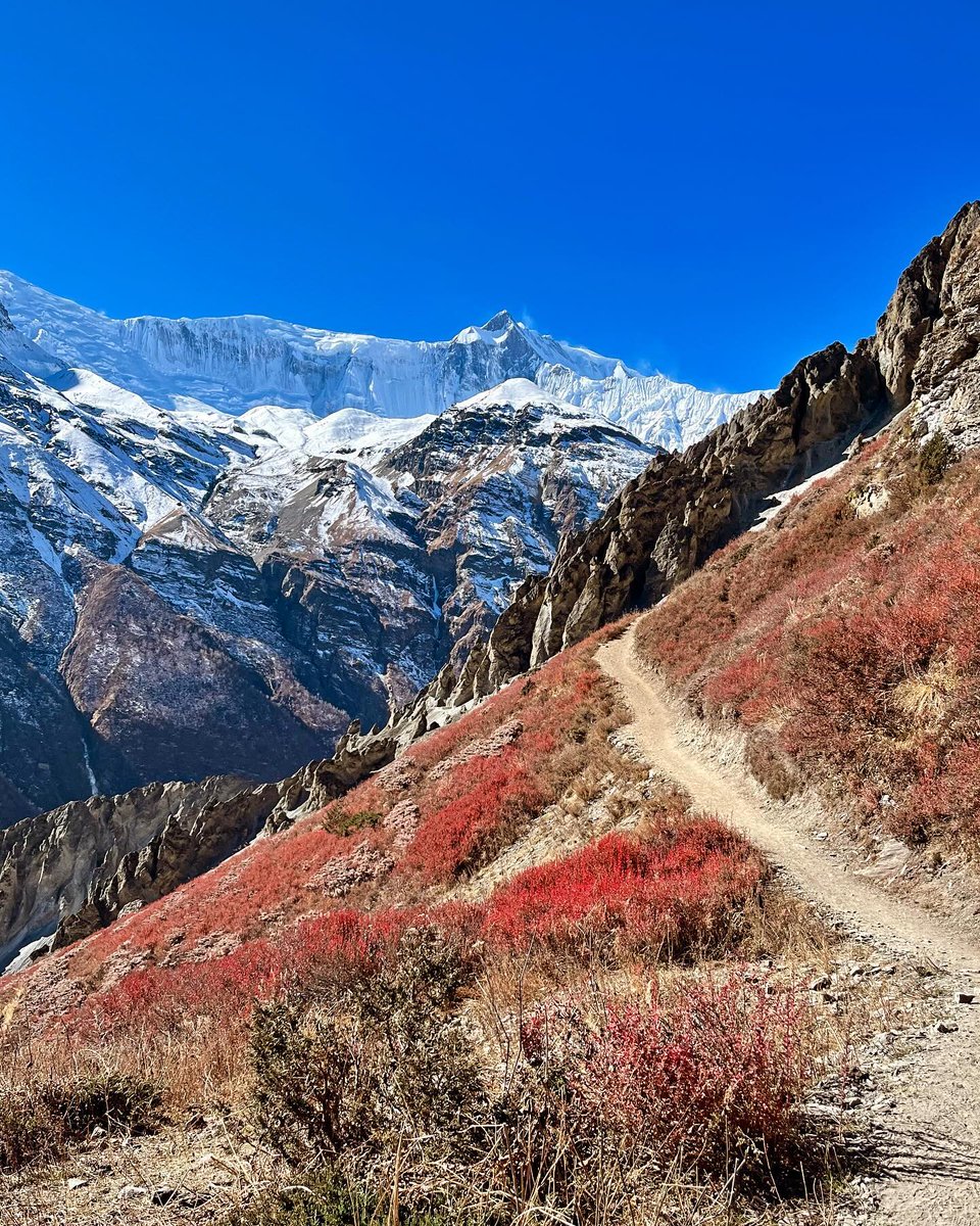 vitoria09cp's tweet photo. Tour des Annapurnas - Partie 3

Traversée de la vallée du magnifique lac Tilicho, perché à 4 900 m d’altitude. https://t.co/R68IbgJry6
