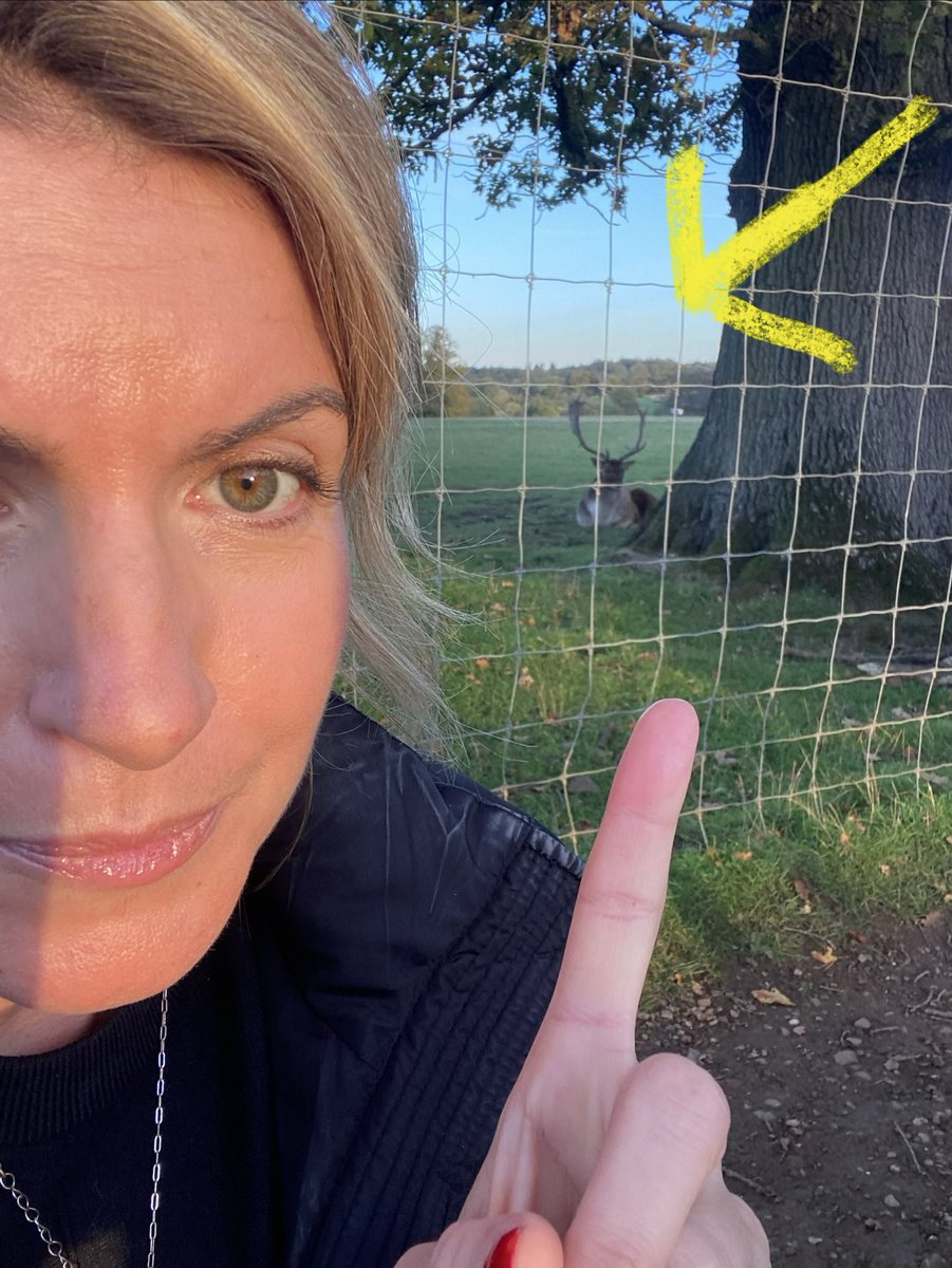 MannGeorgia's tweet photo. Made it to the utterly glorious Calke Abbey in Derbyshire, don’t miss our journey around this spectacular place on @BBCRadio3 from 9.30 tomorrow morning, and look who I found! 🦌 https://t.co/IWmxTMxSny