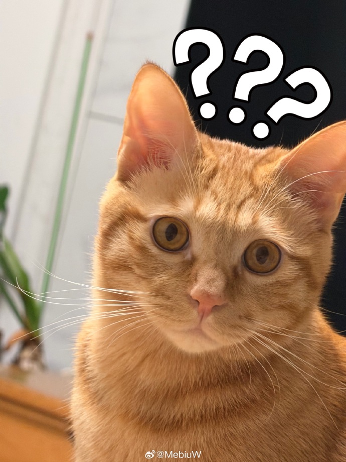 hoppeton's tweet photo. [接奔鄙] 最近なんか変なテンションだけど、なんか面白いことないかな～ https://t.co/ileMLKj8NS
