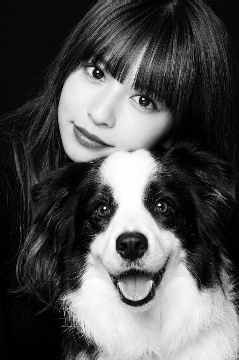 820chie317saku's tweet photo. 愛犬win亡くなって7年になる🥺
最近時々、夢で会えるから
嬉しいฅ🐾
賢くて優しくて頼りがいある子。
不審者見つけて吠えまくって
近所に入ろうとした泥棒逮捕🚓
立派でした👏
また夢で会いたいな。 https://t.co/SJCGHsLYF5