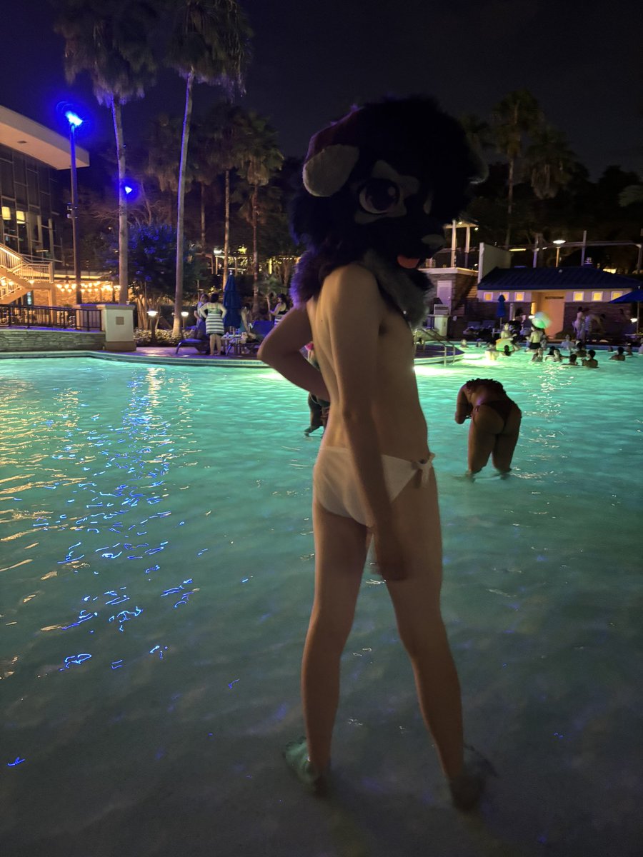 LADradorAD's tweet photo. oomfs going to furpoc should hit me up!! come pull my leash ;3 https://t.co/uat4NGf46K