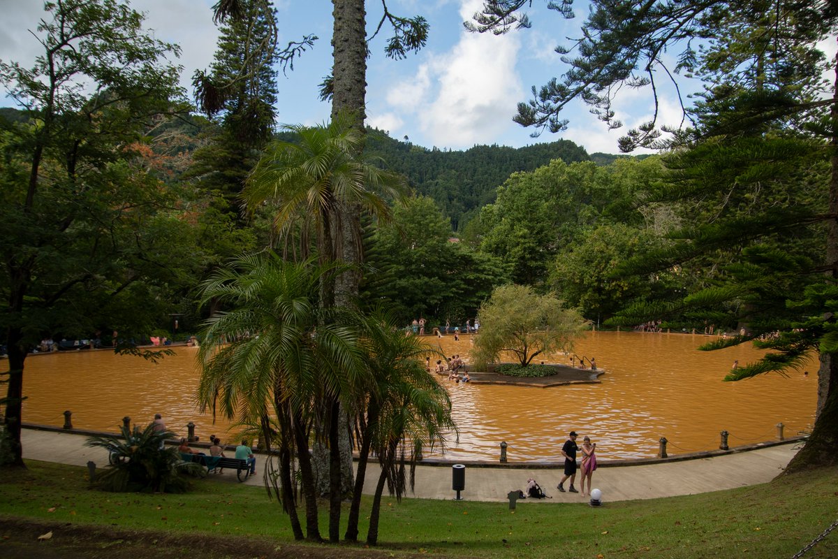 Jans__clicks's tweet photo. A few more from Parque Terra Nostra, and just so you know, that murky water is about 39° celcius. 

(for more, check my FB page) ;)
#animals #hotsprings #animalphotography https://t.co/AugFWhVAdP