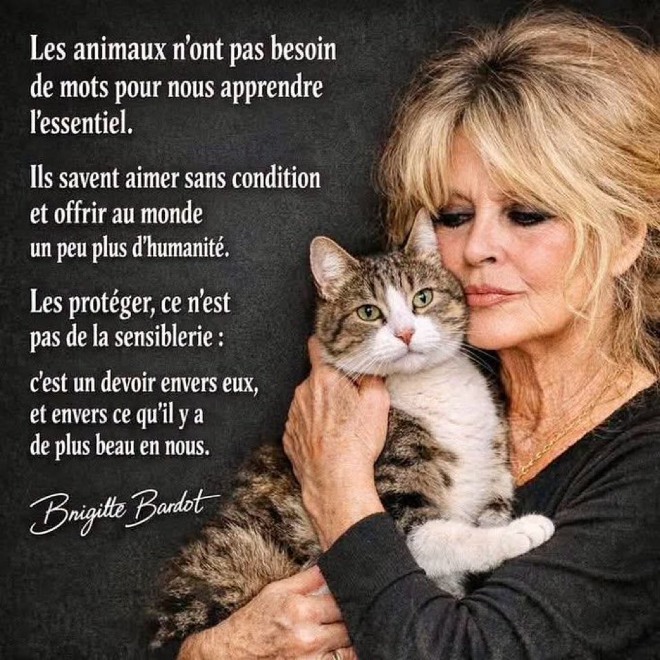 nicoleAlary2's tweet photo. https://t.co/wXDSPLcLLH