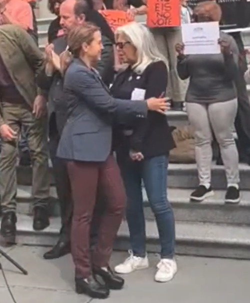 timerube's tweet photo. layla law-gisiko is now claiming she just "found herself standing on the same sidewalk as vickie paladino" at a press conference. a photo from that event shows layla smiling and embracing vickie.

i don't want to mince words: this is conservative entryism into dsa. https://t.co/y3r0h9WmR3
