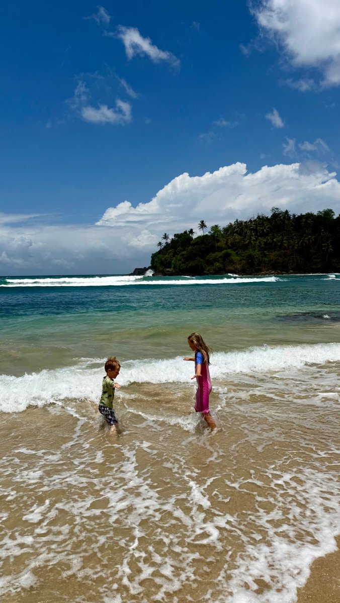 PacaJhonny's tweet photo. Sri Lanka is the ultimate first family adventure: welcoming people, incredible wildlife, easy travel with a driver, amazing food, stunning beaches and just a 10. 5-hour night flight from London. We were nervous, but didn’t need to be. https://t.co/GDBg3SqadJ