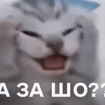 Photo by Xїlandro Axeuora 🇺🇦 (@Xilandro)