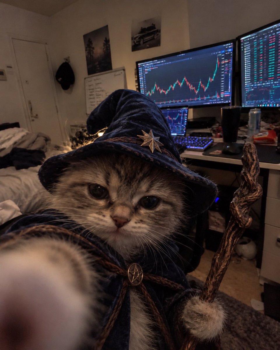 mysticcatmeme's tweet photo. They told me to give up.

But a wizard knows the darkest nights come before the greatest magic.

$MYSTIC https://t.co/uglBycysbf